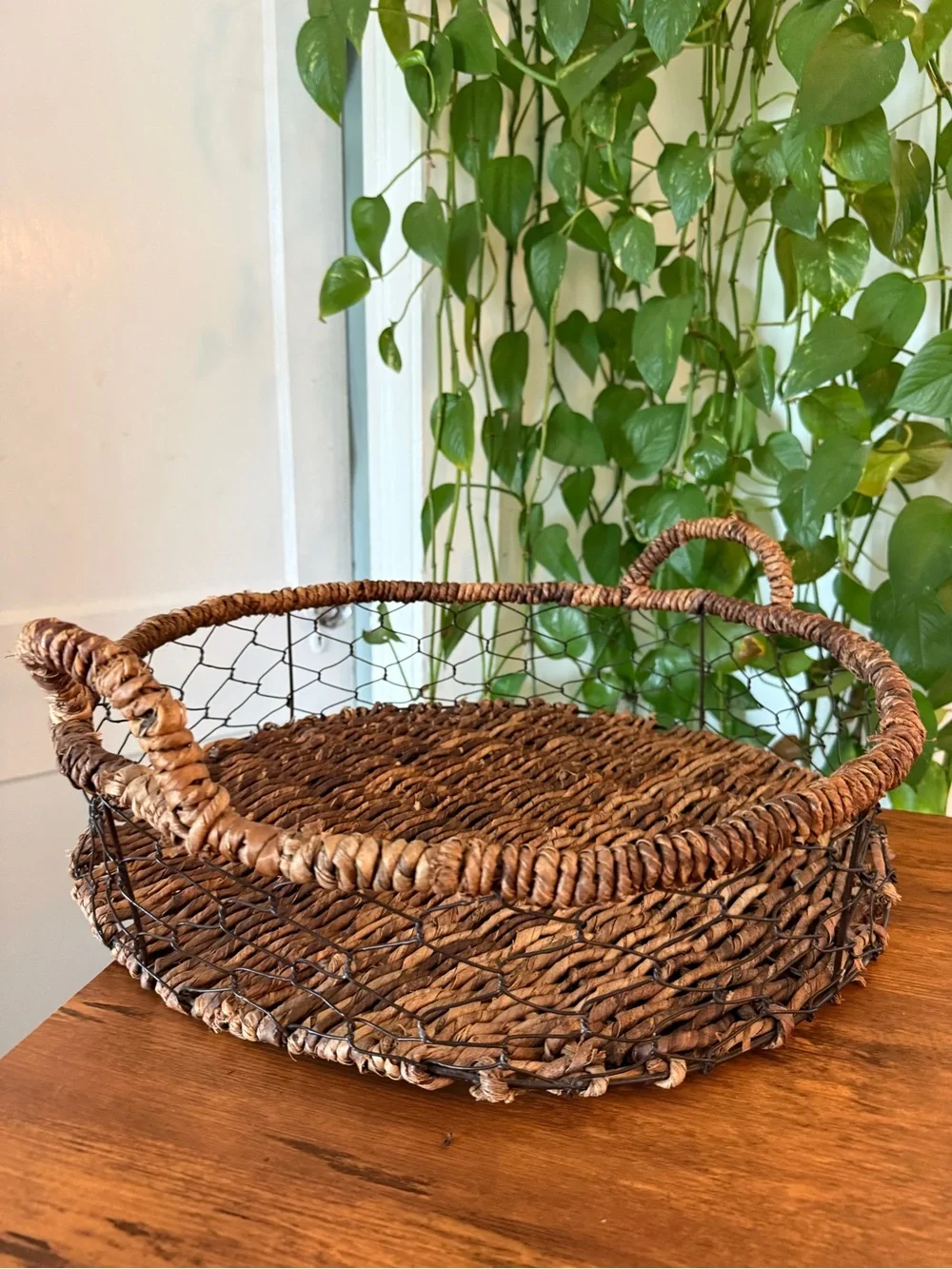 Woven Rattan and Wire Serving Basket Tray - Brown